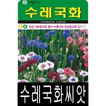 [워터트리몰] 수레국화씨앗(500립) 채소 꽃 종자 재배 씨앗 허브 나무 (A)