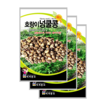 호랑이 넝쿨콩 30g 울타리콩 3봉, 10