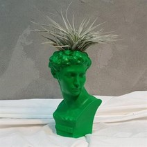 아트박스/모리아트 그린 컬러 페인팅 석고상화분 휴스톤+모스+리본 포함, 히게