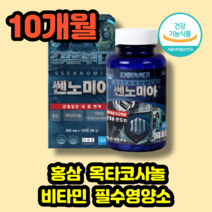 (10개월분) 면역력 홍삼 지구력 옥타코사놀 강철부대 쎈노미아 120정 1일2정 비타민B