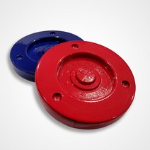 뉴스포츠 셔플보드 디스크 학교체육 체육대회 게임, 블루