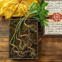 르블랑 국산 금산 수삼 선물세트 6년근 산양삼 산양 산삼 더덕 설 명절 선물 세트, 6. 6뿌리 [5년~6년근]