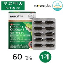 내츄럴플러스 징코 오메가 3 쓰리 직장인 부모님 중장년 청소년 학생 60캡슐 1개