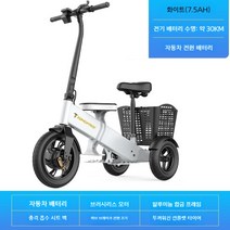 3륜바이크 3발 배달용 오토바이 노인 전동스쿠터 미니 전기 세발 자전거 접이식 부모님 아버지 로얄알로이 삼륜, 36V, 화이트 7.5A배터리 / 약 30km, 36V