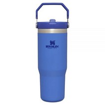 Stanley IceFlow™ 플립 빨대 텀블러 887.2ml(30온스) 시트론 스월, 30oz, Iris