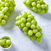 [선물세트] 영천 프리미엄 샤인머스켓 2kg (3수/4수) 망고포도 씨없는 청포도, 프리미엄 샤인머스켓 2kg 3수, 25일순차발송