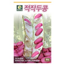 적작두콩씨앗 100립 작두콩씨앗, 없음, 1개