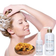 헤어슈트 샴푸+토닉 세트 상황버섯 추출 두피관리