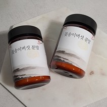 꽃송이버섯 초미립 분말, 100g, 100g, 1개
