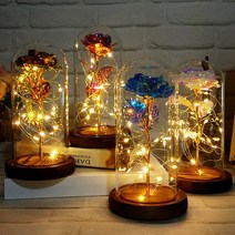 엔템 카네이션 led 드라이플라워 프리저브드 유리돔 꽃 무드등 대형 미니유리돔 만들기 와이어전구 건전지 특이한무드등, 장미(구슬)(커플)