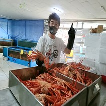 [산지직송] 박달홍게 프리미엄 홍게 대게 포항 구룡포 영덕 속초, 1. 실속형 홍게 10마리 3k