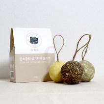 삼쩜오 탄소중립 설거지바 키트 100g 1분량 교육용, 인삼, 1개