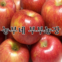 햇사과 22년 부사 맛있는 꿀사과 산지직송 농부네 부부농장, 07. 정품사과 5kg 중과/선물용(15과~16과)