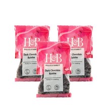 홀랜드앤바랫 다크 초콜릿 건포도 125g Holland & Barrett Dark Chocolate Raisins, 3팩