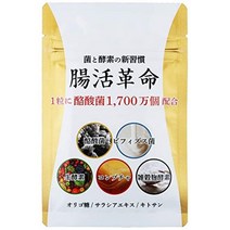 kumiJP 장의 혁명과 효소의 네이 지마 보충제 Bifidobacterium bifidobacteria 31 일