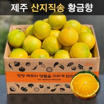 [품질보증제] 고당도 제주 산지직송 황금향 15브릭스 이상 당도보장 못난이 중과 가정용 선물세트 제주도귤, 04. 황금향 5kg 중과(16/24과)