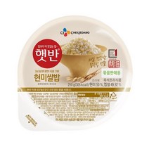 햇반현미밥210 제품추천