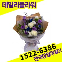 보라리시안혼합 꽃다발 꽃바구니 출산 생일 전국 꽃배달서비스 생화 기념일 프로포즈 졸업 축하 당일 배송