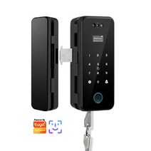 Tuya-스마트 홈 와이파이 전자 생체 Rfid 카드 암호 액세스 제어 3D 얼굴 인식 유리 잠금, 01 Black