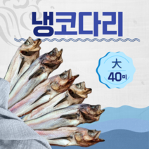 [속초명인] 대용량 업소용 냉코다리(대_410) 42~45cm, 40마리