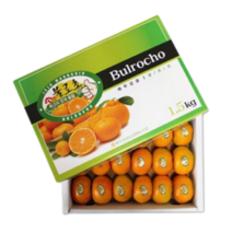 제주 불로초 감귤 고당도 노지 타이벡 감귤 프리미엄 귤 가정용 프리미엄 선물세트, 3kg (로얄과 2S-M)