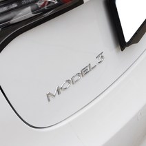 MS-TECH TESLA POINT EMBLUM S 3 X Y, 모델Y