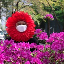 에렘 _어버이날 스승의날 인간 대왕 자이언트 카네이션 머리띠_153pes, 상세페이지 참조