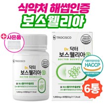 프리미엄 인도산 고함량 보스웰리아추출 분말 정/6통 유향 식약처 인증 해썹 akba kba 초록잎홍합 홈쇼핑 보스웰릭산 가루 환 원물 보수엘리아 보수엘라 보수웰리아 보스엘리아 추천