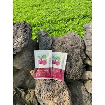 제주산 100% 찐한 레드비트즙 100ml 30개입, 60개입
