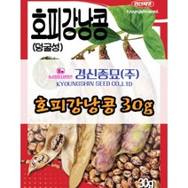 호랑이콩 씨앗 호피 강낭콩 종자 30g 당일발송 경신종묘