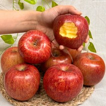 경북 햇 홍로 부사 사과 고당도 꿀사과, 3kg 소과 (15-18과), 정품 사과