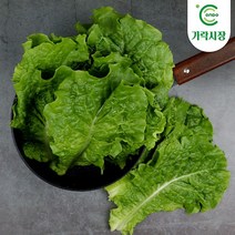 [온도씨]가락시장 잎로메인(1.8kg-2kg), 단품