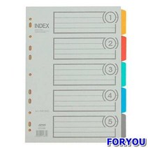 ForU723 대흥 바인더인덱스 분류 박스 240개 사무용품 문서보관 서류화일