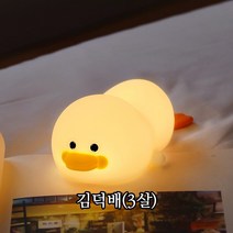 귀여운 오리 무드등 실리콘 터치 수유등 취침등 충전식 무선 LED 조명 아이방 김덕배