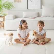 리포소홈 강아지매트 애견매트 폴딩매트 접이식매트 강아지 매트 펫 방수 미끄럼방지 5단매트 논슬립매트 미끄럼방지매트 슬개골탈구 고양이매트, 1400x2500