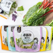 친환경 샐러드 야채 다이어트 샐러드 식단 관리 100gX5팩(5종 중 1세트), 100g, 5개, 국내산 혼합 샐러드 (5종 각1팩)