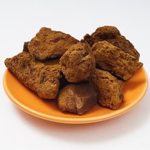 차가버섯100g 국산상황버섯 상황버섯분 내몸에 좋은차 차가버섯 버섯차, 1개