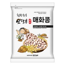 힘찬농부오달봉 수입 매화콩 호랑이콩 강낭콩 울타리콩 새알콩 제비콩, 1포, 수입매화콩5kg