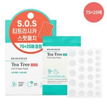 브링그린 티트리 시카 스팟 패치 (75매+25매)