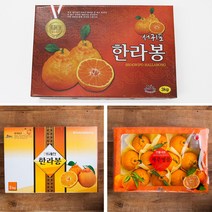 특별한 선물 당일발송 제주 햇한라봉 프리미엄 선물세트 고당도 한라봉 실속선물 선별당도 특대과, 실속형 선물세트_3kg