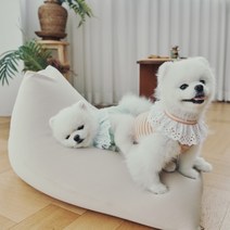 생활특권 쫀득 강아지 빈백 쿠션 방석 (삼각형모양), 차콜