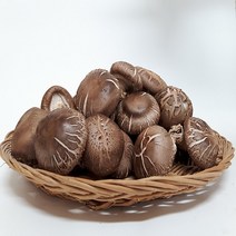 산지직송 무농약 생표고버섯 1kg, 못난이5kg, 1개
