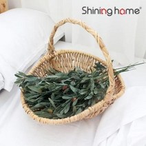 아트박스/샤이닝홈 이너스 넓은 라탄 과일바구니, 본품
