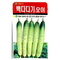 백다다기씨앗 50알 오이 백오이 다다기 씨앗 종자