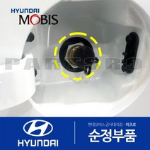 순정 LPG 차량 주유구 충전구 캡 충전뚜껑 마개 (검정색)