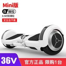 양발 전동휠 나인봇 투휠 대리기사 기계 수동 자동 피크닉 공원 전동바퀴, 36V-Mini 에디션 화이트 풋 컨트롤, 36V