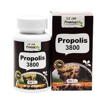 뉴질랜드직구 뉴베델 프리미엄 프로폴리스 3800 380mg 엔조게놀 15ml 180cap 1팩, 수량, 상세참조