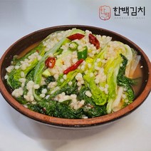 제주한백 얼갈이 제주보리김치 1kg 2kg 3kg 5kg, 03_보리김치 3kg
