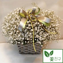 꽃친구 안개 안개꽃 생화 풍성한 꽃다발 꽃바구니 꽃배달 케이크배달 당일배송가능 전국꽃배달, X