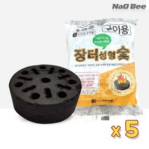 NaOBee 쉬운 즉석 점화 성형 장터숯 착화탄 5P, 4set(20개)